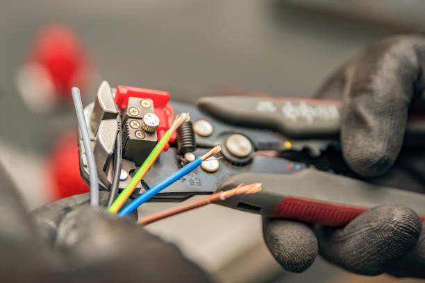 Best Residential Electrician Services  in Lake City, MN