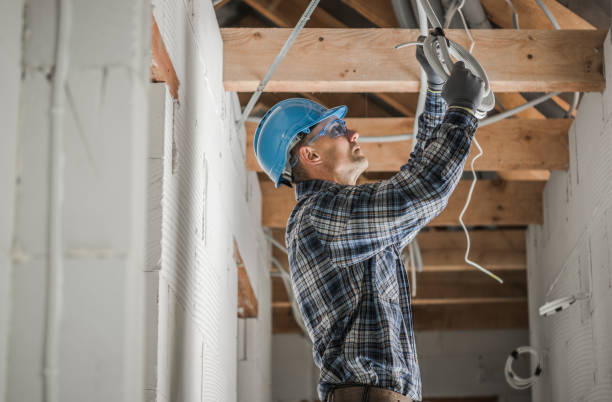 Best Electrical Wiring Services  in Lake City, MN