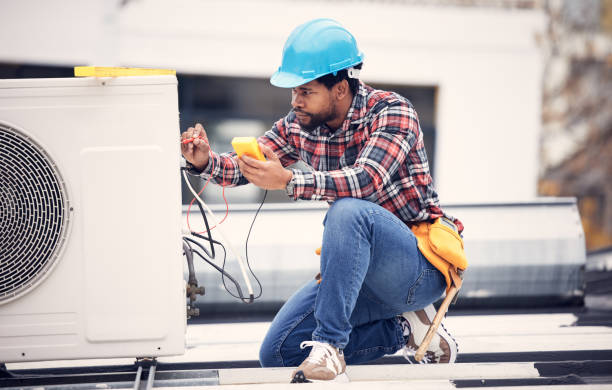 Best Ceiling Fan Installation Electrician  in Lake City, MN